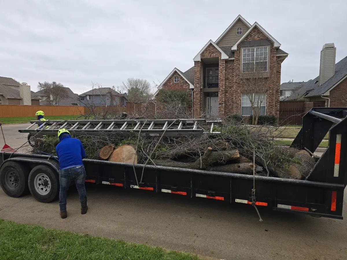 Expert Tree Fertilization with proper safety equipment in Loganville